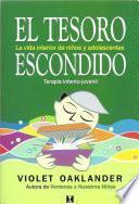 libro El Tesoro Escondido (hidden Treasure)