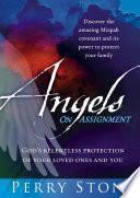 libro Angels On Assignment