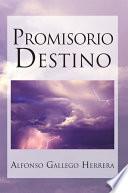 libro Promisorio Destino